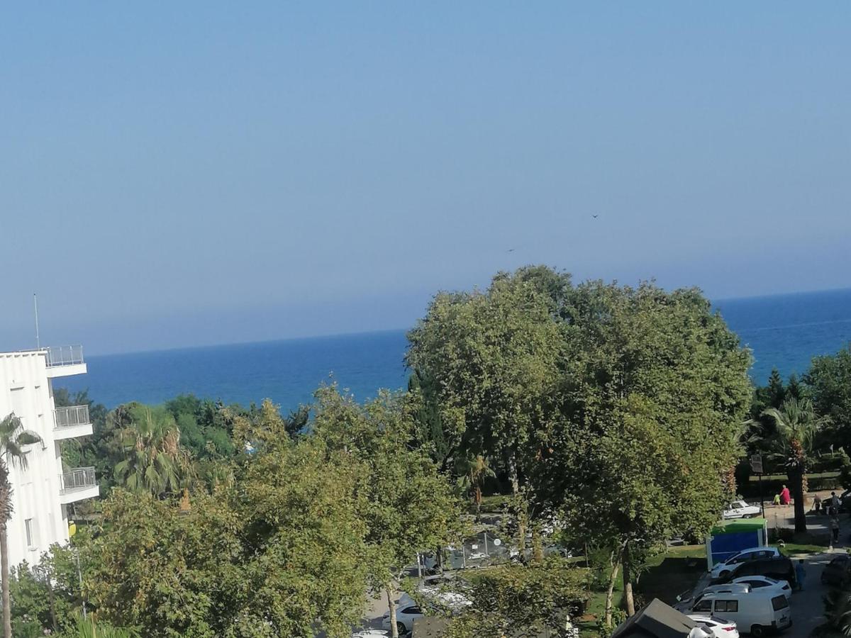 אנאמור Balsen Hotel מראה חיצוני תמונה