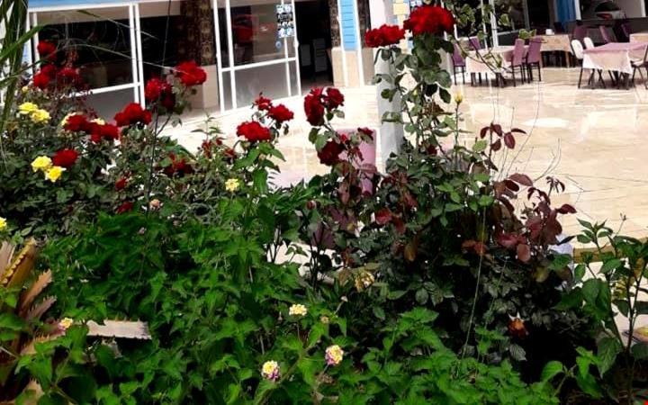 אנאמור Balsen Hotel מראה חיצוני תמונה
